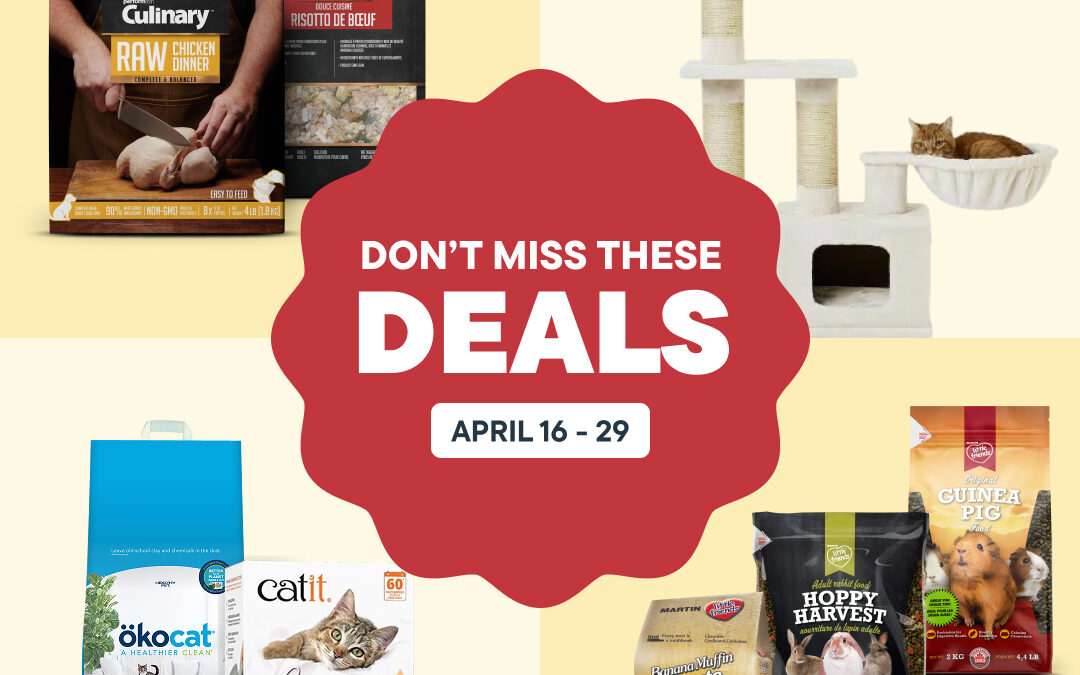 Don’t Miss these Deals – April 16 to 29 2026